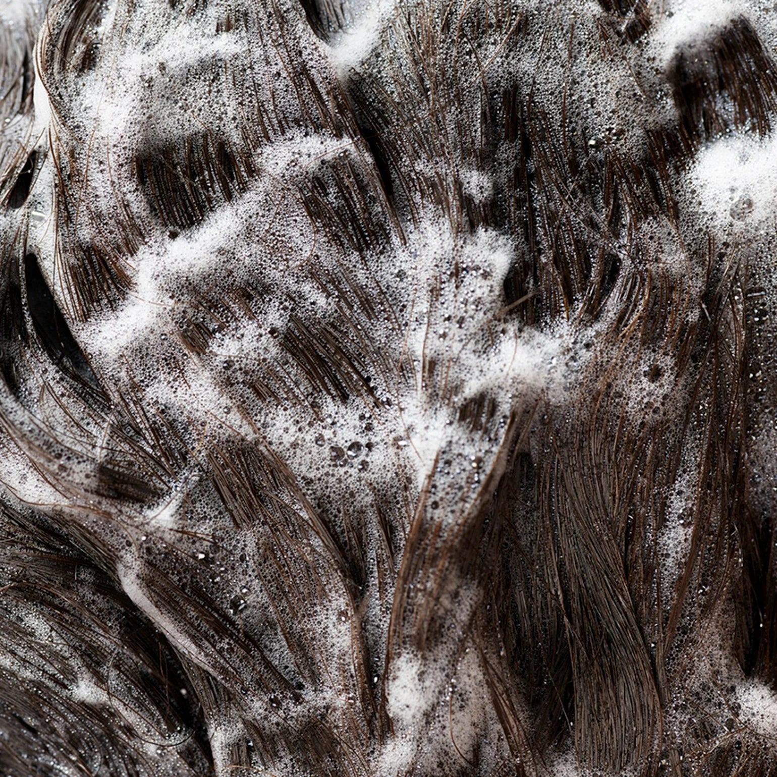 Signature Shampoo - detail 2
